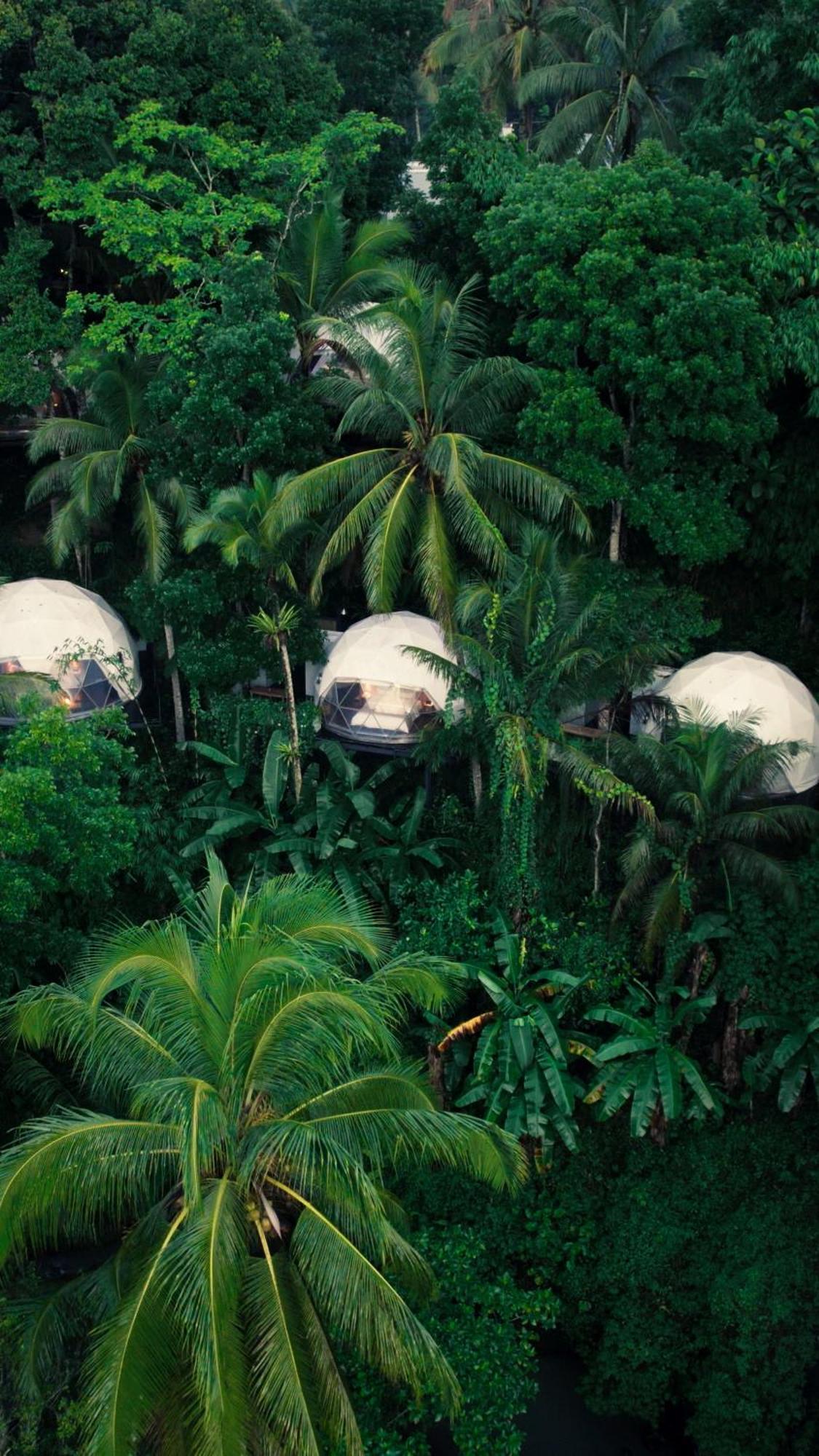 Lintang Luku Tent Resort Ijen, Banyuwangi Banyuwangi (East Java) Exterior foto